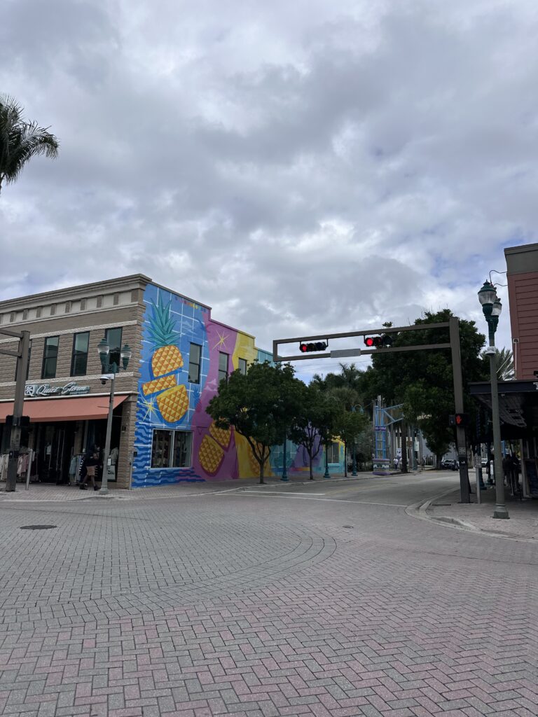 delray beach electrician (7)