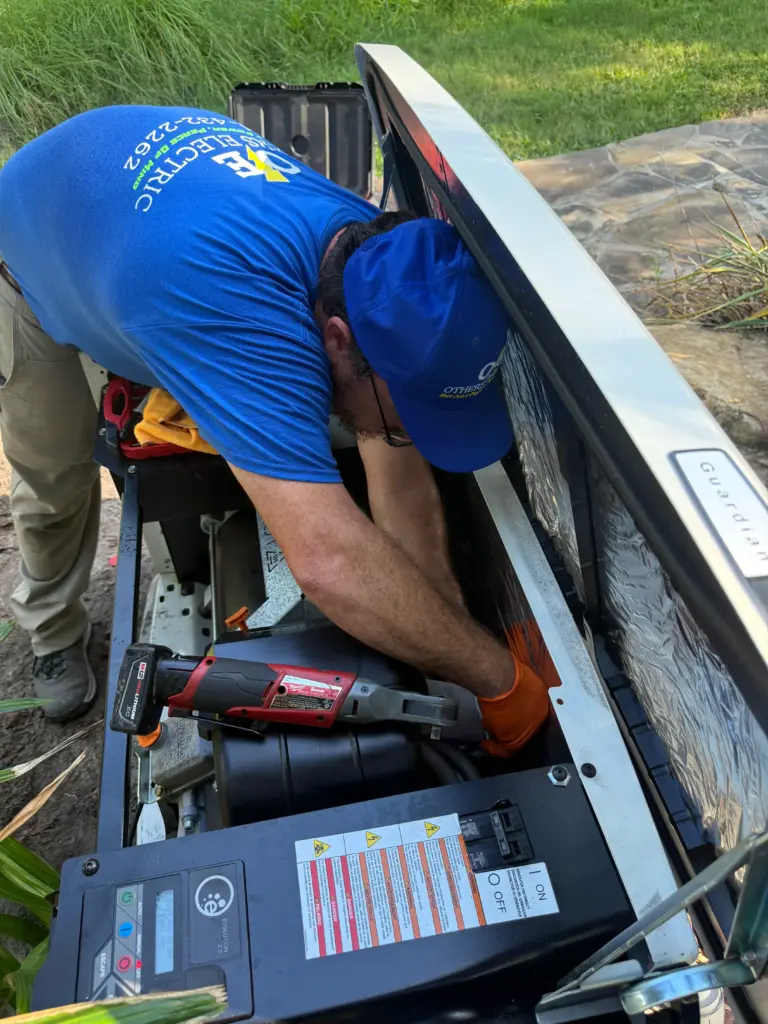 What Generator Is the Best Others Electric (22)